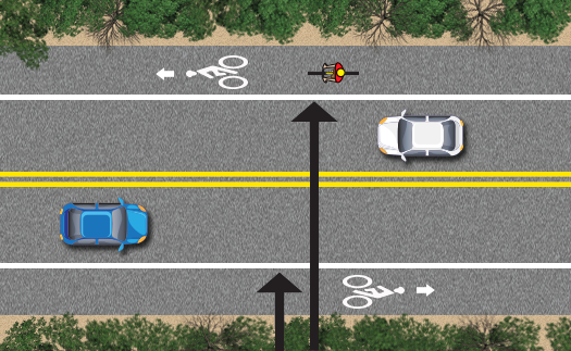 whiite line to the right of traffic with a bike symbol