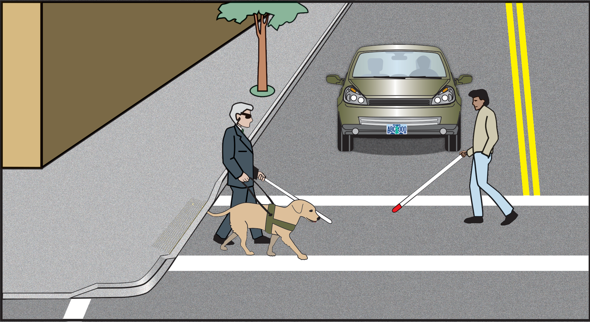 A person walking in a cross walk with a white cane and going the opposite direction is a person with a guide dog and white cane