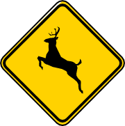 Señal: venado cruzando