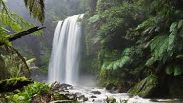 Waterfall in the forest