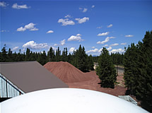 Looking North