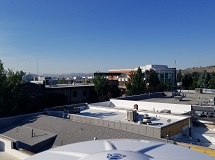 Looking South
