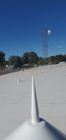 Looking North