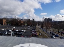 Looking East