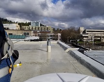 Looking North