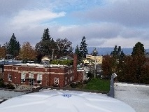 Looking North