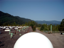 Looking West