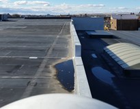 Looking West