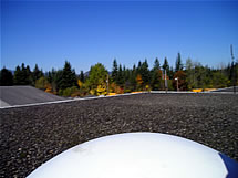 Looking North