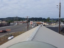Looking North