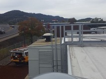 Looking North