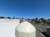 Looking North
