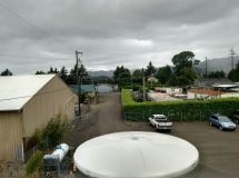 Looking North