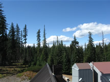 Looking West