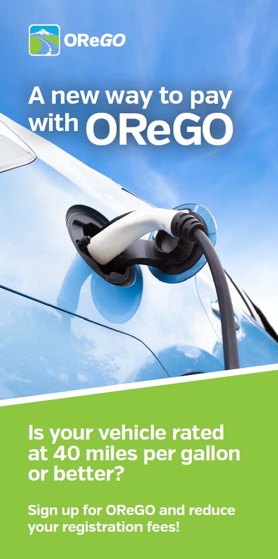 brochure cover.jpg