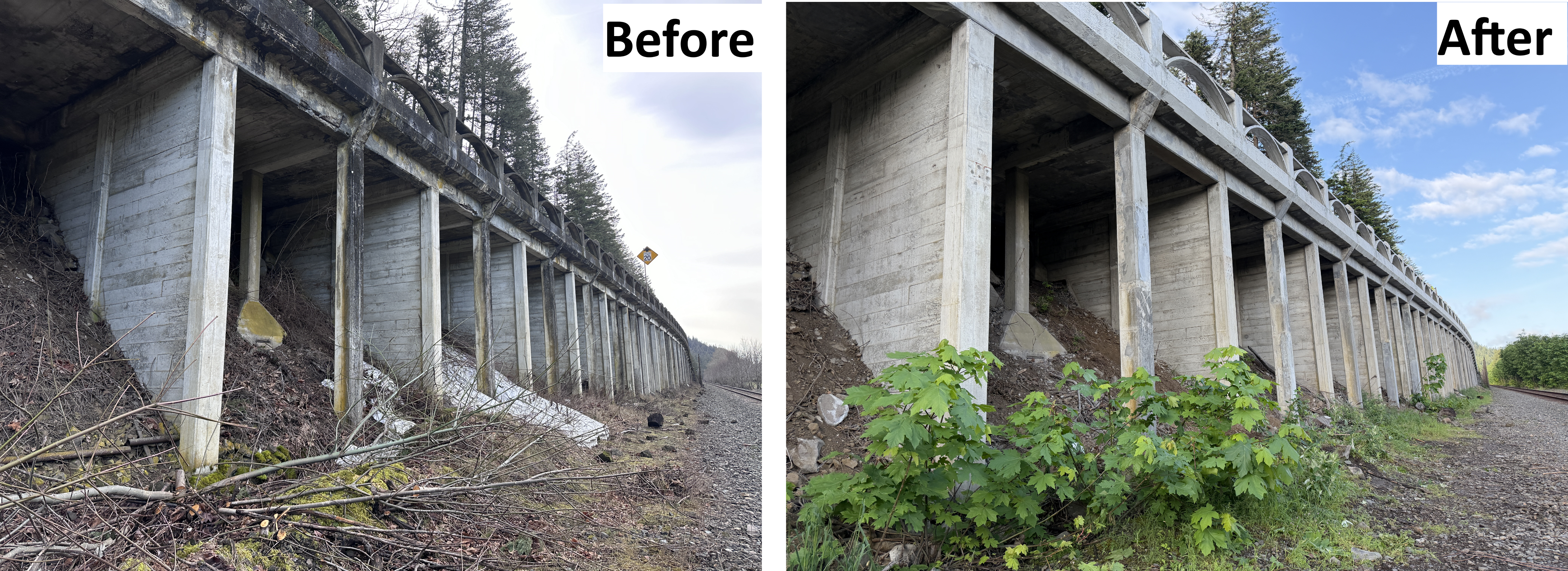 Before & After (1).png