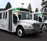 Parked buses for sale