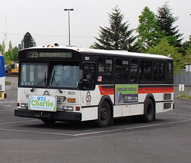 Parked bus in parking lot