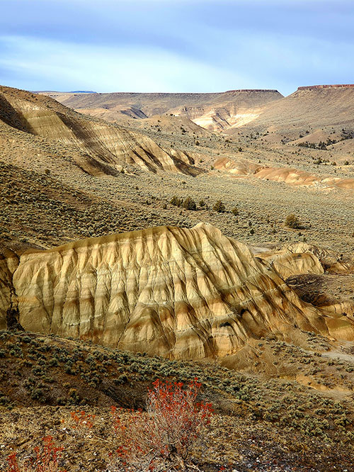 johndayfossilbed.jpg
