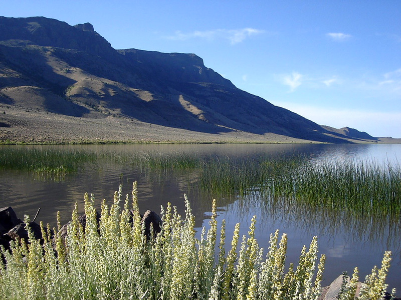 Marsh lands near Lakeview