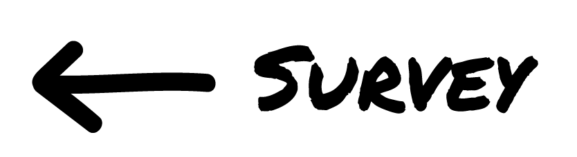 Survey arrow