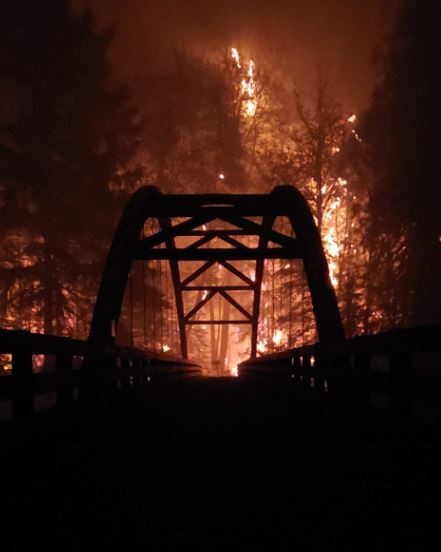 Wildfire_New.jpg