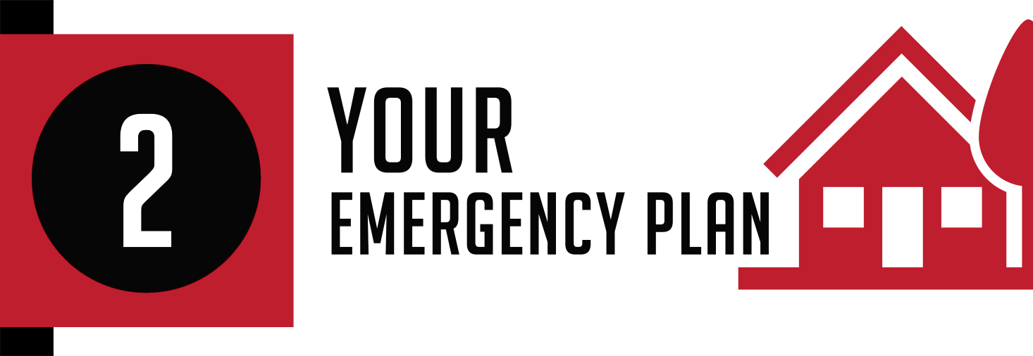 Unit 2: Your Emergency Plan header