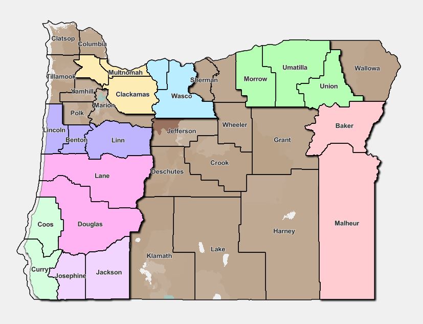 Demographic and language data by county map
