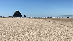 Cannon Beach