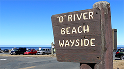 D Rover Beach