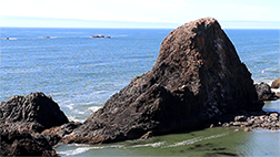 Seal Rock Beach