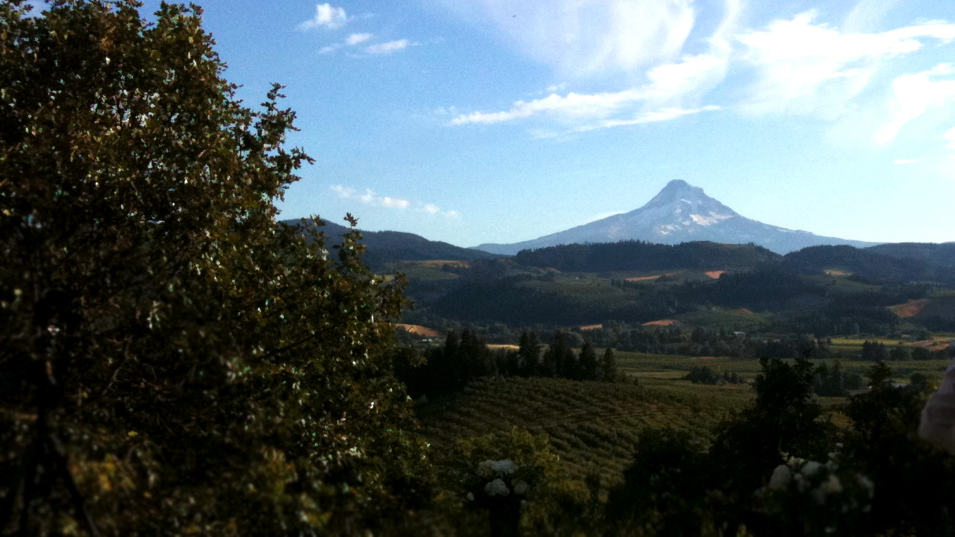 View of an Oregon mountain