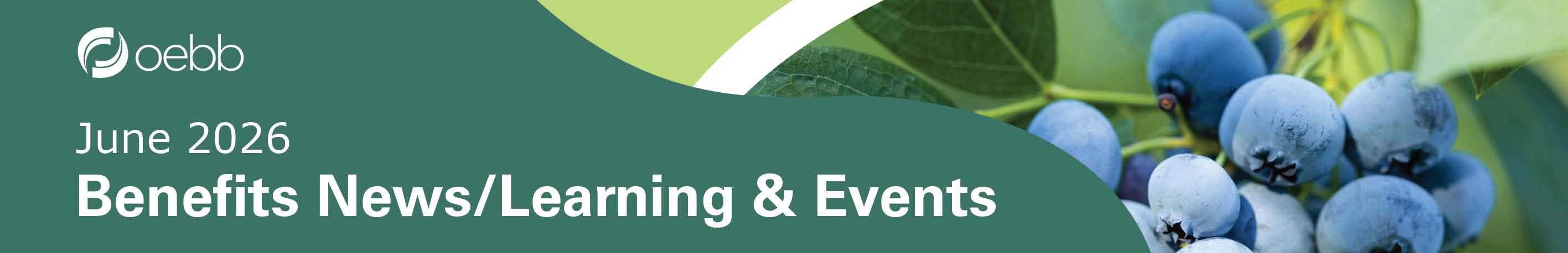 OEBB-Newsletter-Learning-Banner.jpg