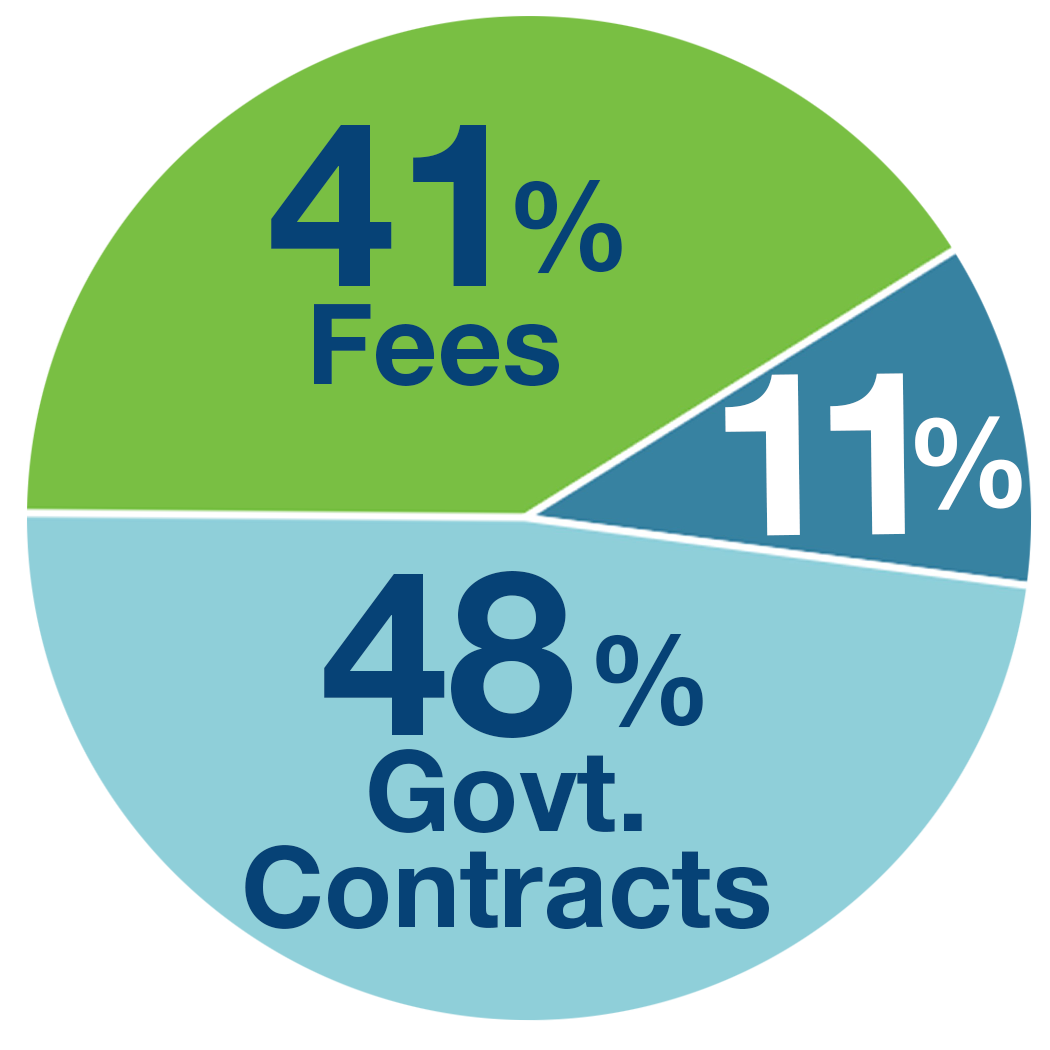 A pie chart with slices of: 41% fees, 48% government contracts, 11% other.