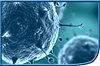 Microscopic view of influenza virus