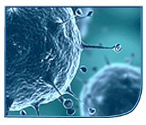 magnified image of a virus