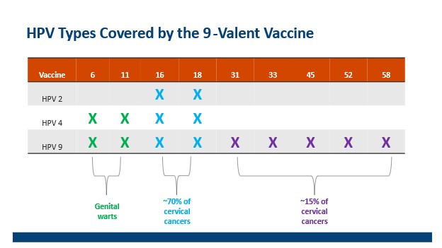 HPV6.jpg
