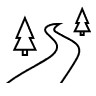 A road between 2 pine trees