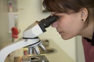 provider looking in microscope