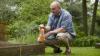 spraying pesticides