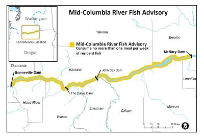 mid columbia