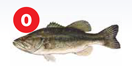 bass zero meals