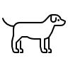 Outline of a dog