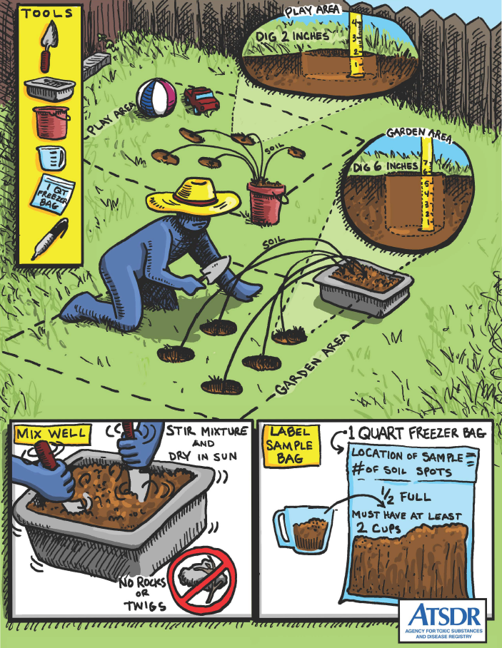 sampling cartoon.png
