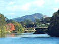 eugene