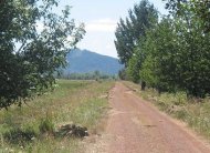 red rock road