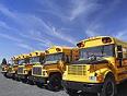 school buses