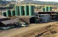 taylor lumber