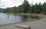 willamette cove