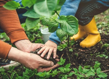 planting.jpg